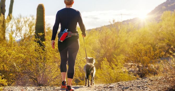 Somatic Yoga - Teacher Training Certification