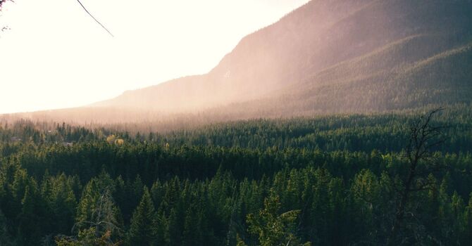 Somatic Yoga - Teacher Training Certification